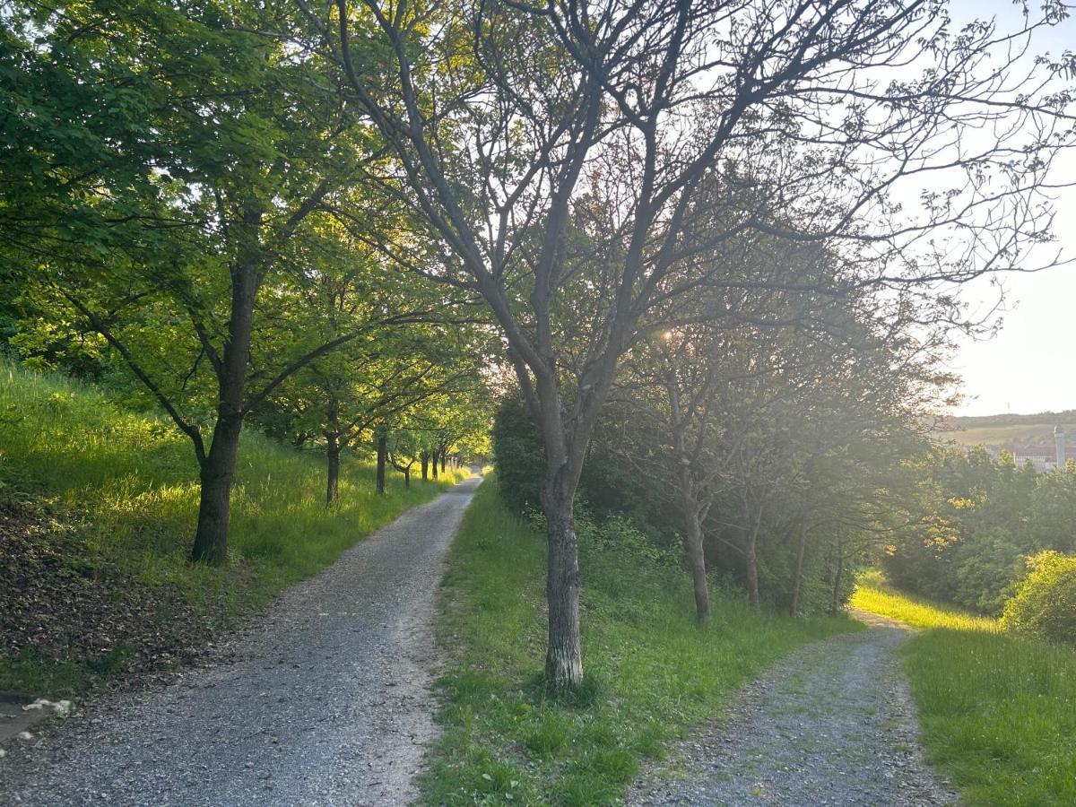 Dnd Stadtoase I Park I Workstation I Netflix I Parken I Kaffee I Waschmaschine I Trockner I Xbox Wurzburg Bagian luar foto